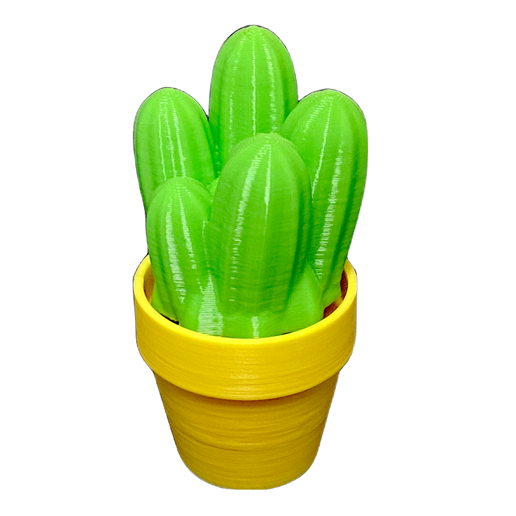 Clicker - Cactus