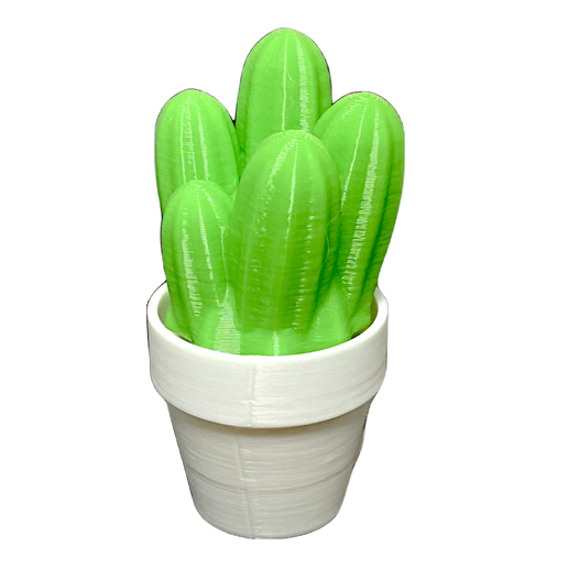 Clicker - Cactus
