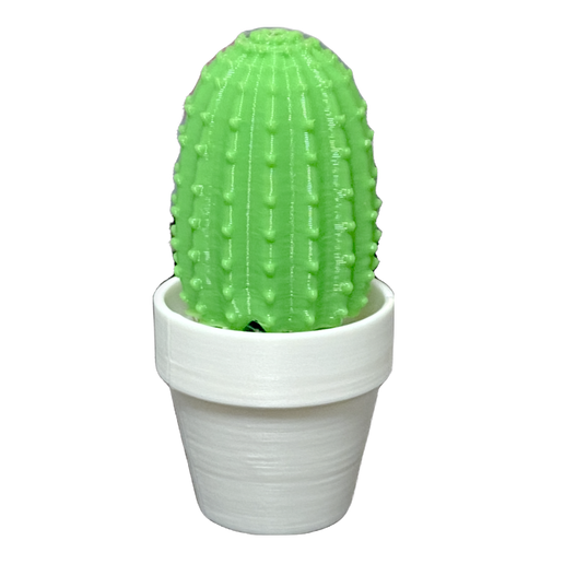 Clicker - Cactus