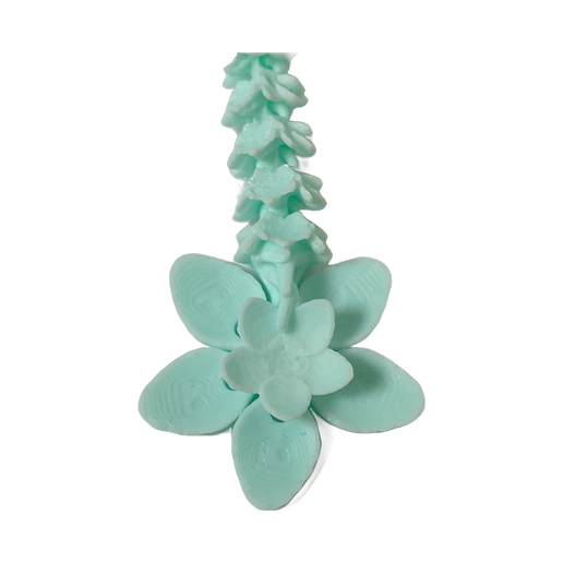 Cherry Blossom Dragon Mini