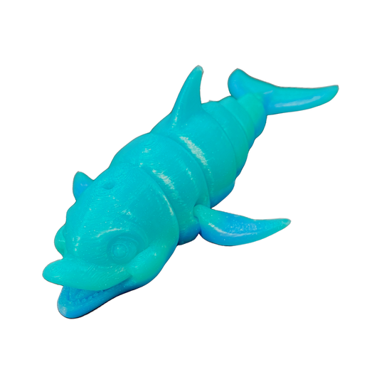 Dolphin