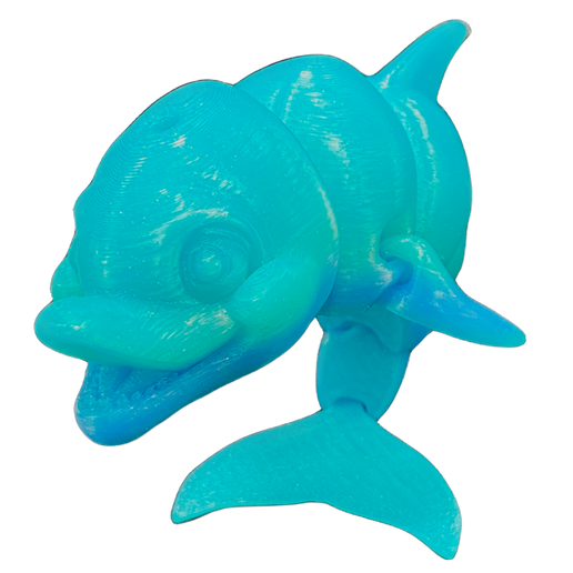 Dolphin