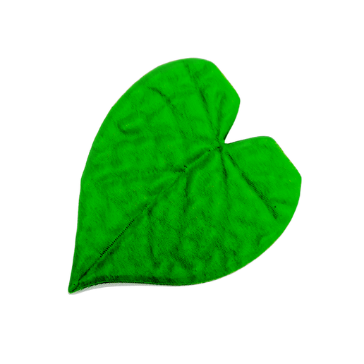 Morning Glory Ivy Fridge Magnet Set