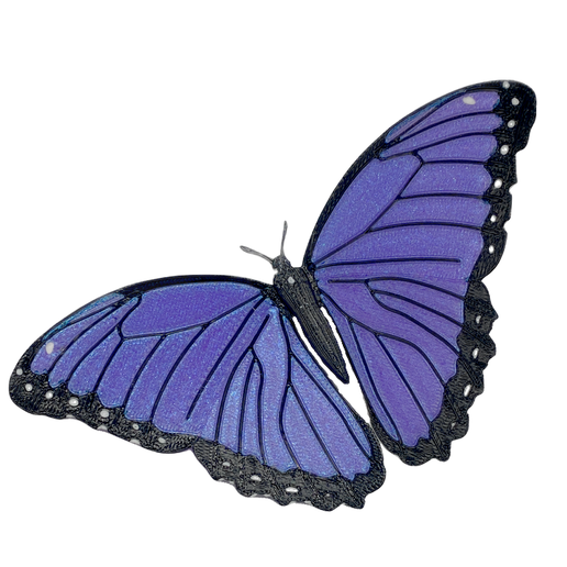 Butterfly Magnet
