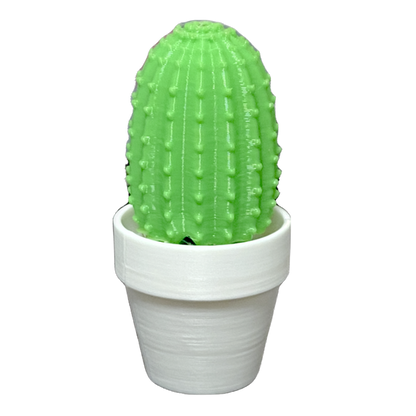 Clicker - Cactus