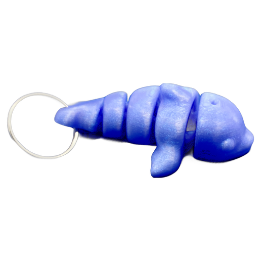 Dolphin Keyring