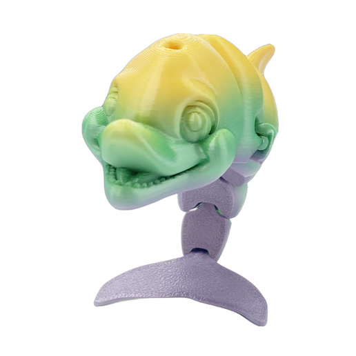 Dolphin
