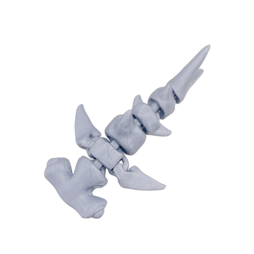 Hammerhead Shark