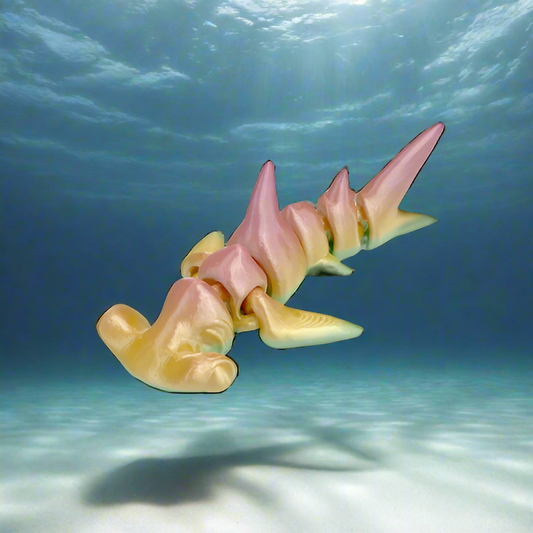 Hammerhead Shark