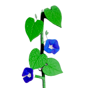 Morning Glory Ivy Fridge Magnet Set