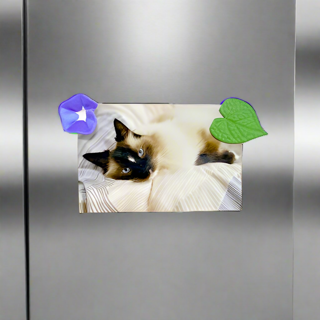 Morning Glory Ivy Fridge Magnet Set