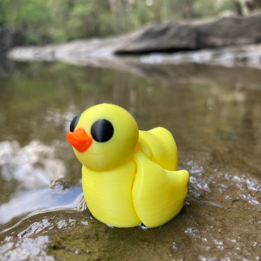 Duck Mini ZOU