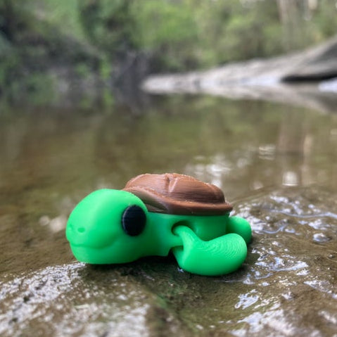 Turtle Mini ZOU