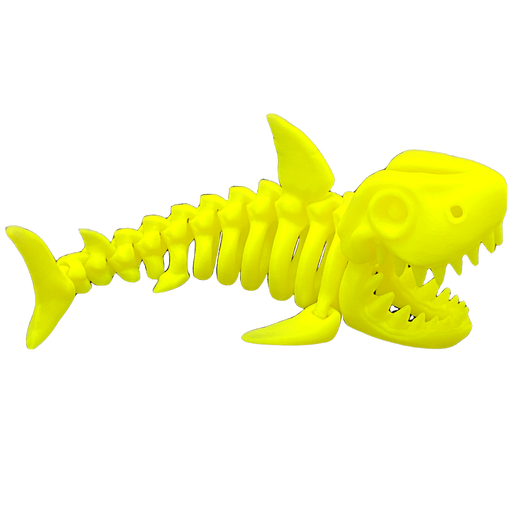 Skeleton Shark
