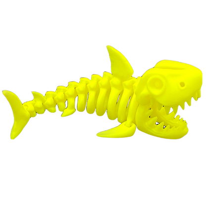 Skeleton Shark