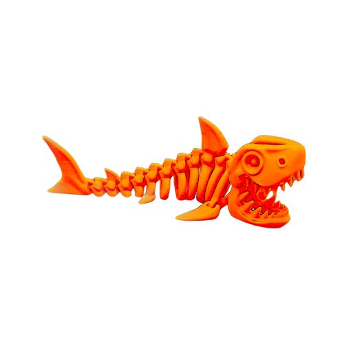 Skeleton Shark
