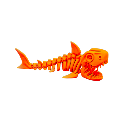 Skeleton Shark