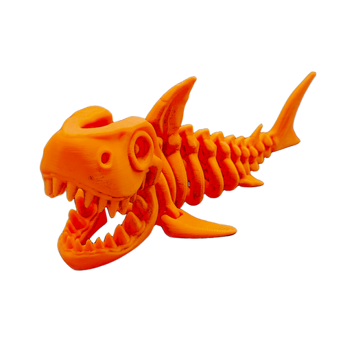 Skeleton Shark