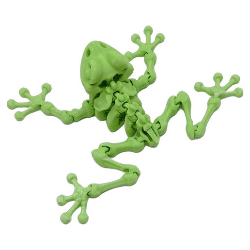 Skeleton Frog Magnet