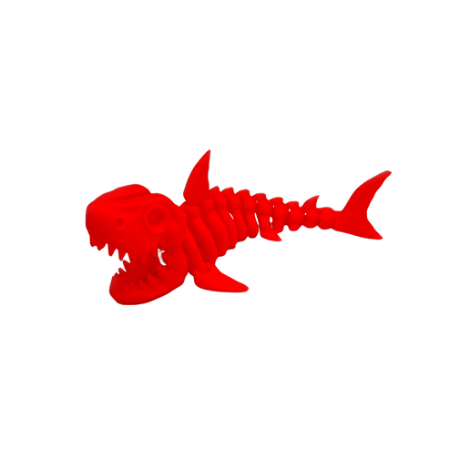 Skeleton Shark