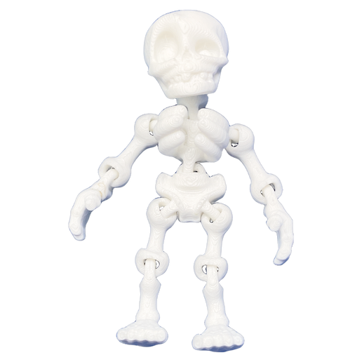 Skeleton Magnet