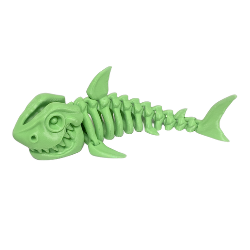 Skeleton Shark