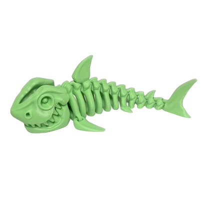 Skeleton Shark