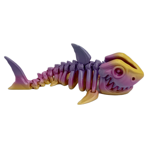 Skeleton Shark