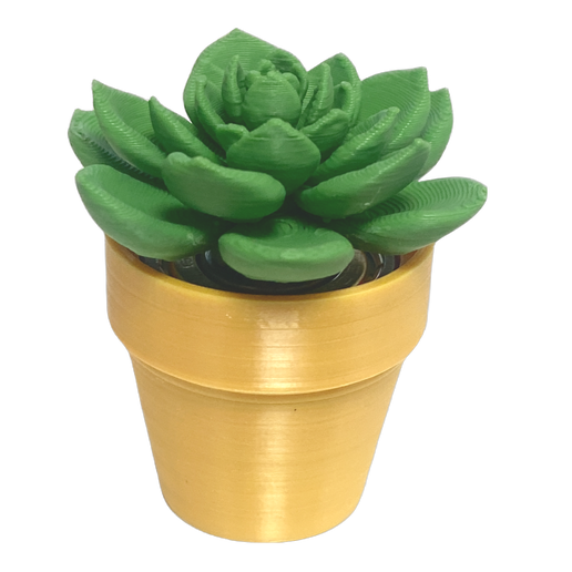 Spinning Succulent