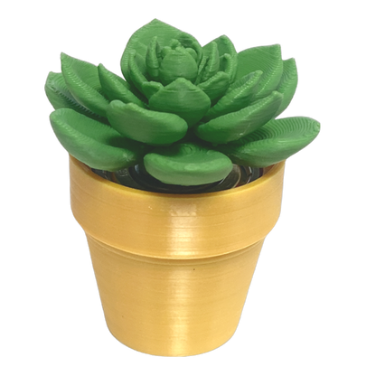 Spinning Succulent