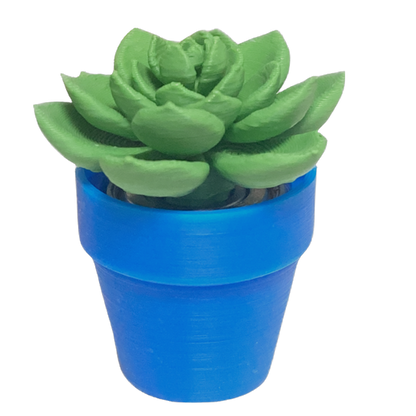 Spinning Succulent