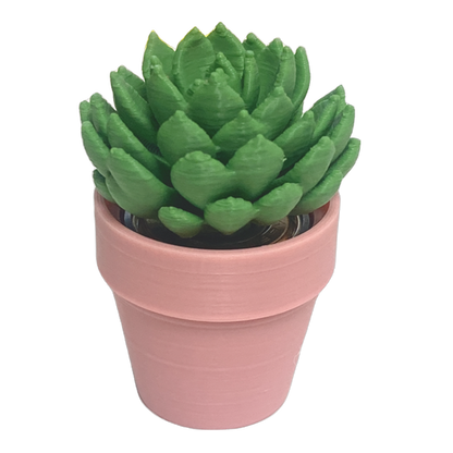 Spinning Succulent
