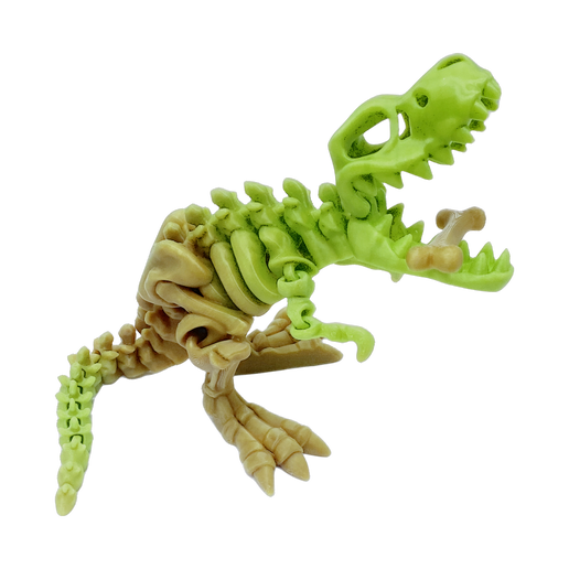 T-Rex Large + Bone