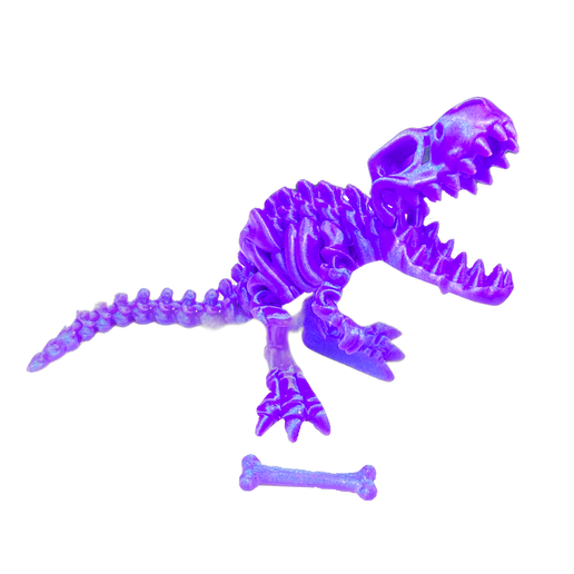 T-Rex Large + Bone