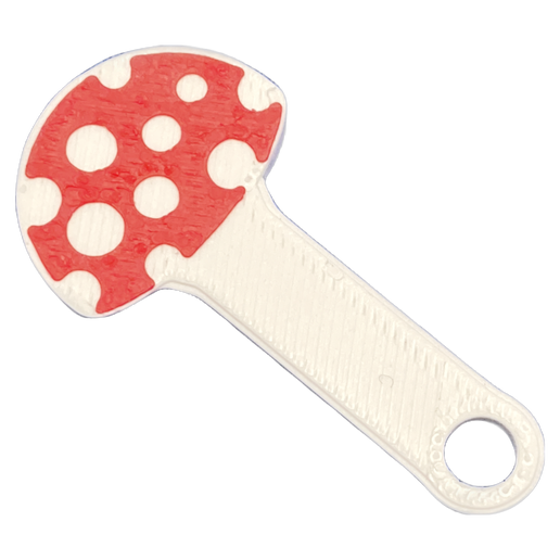 Trolley Tokens