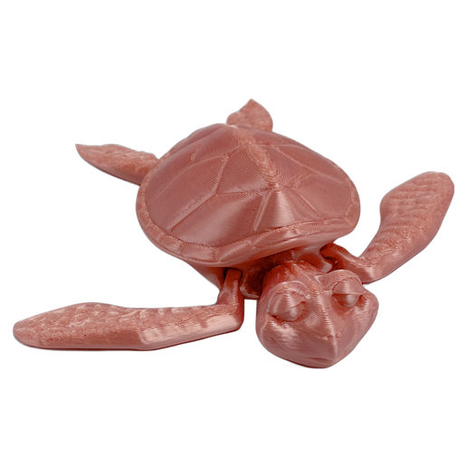 Turtle - Large