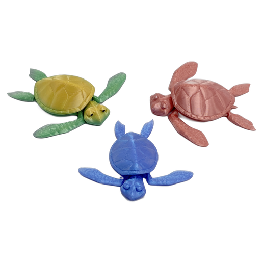 Turtle - Large