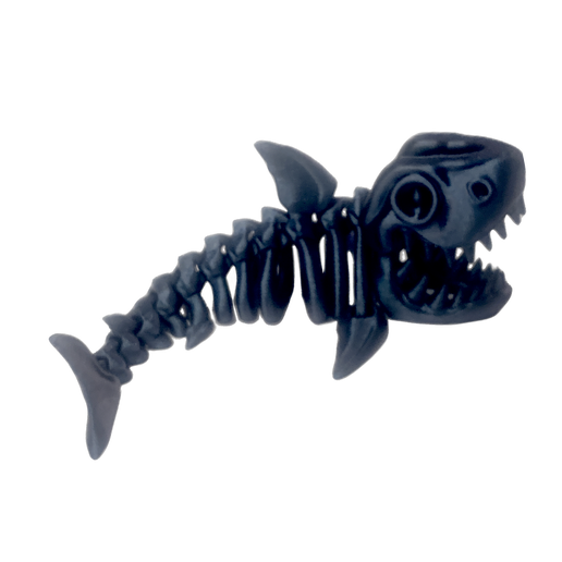 Skeleton Shark