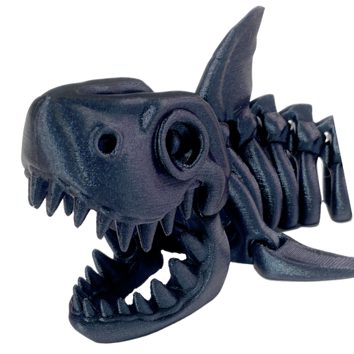 Skeleton Shark